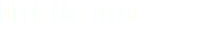 Meet the Team